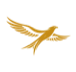 Paralo
